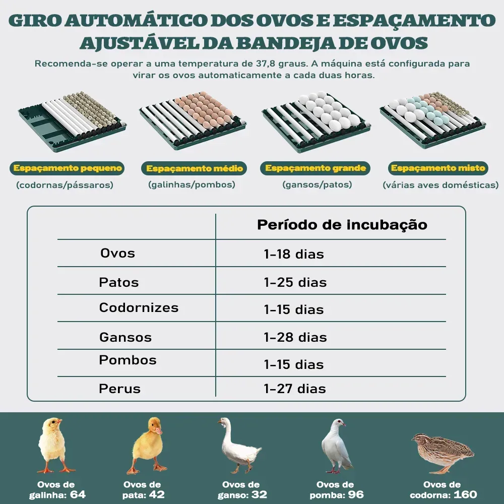 Chocadeira Incubadora Automática Tanque Água 130 Ovos — foto 3